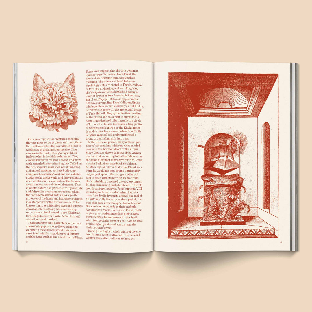 Catnip Magazin - Vol. 1