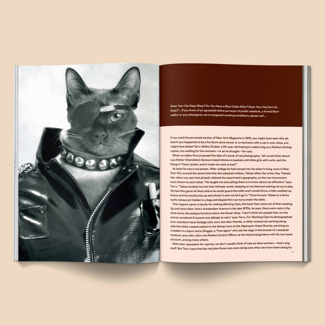 Catnip Magazin - Vol. 1