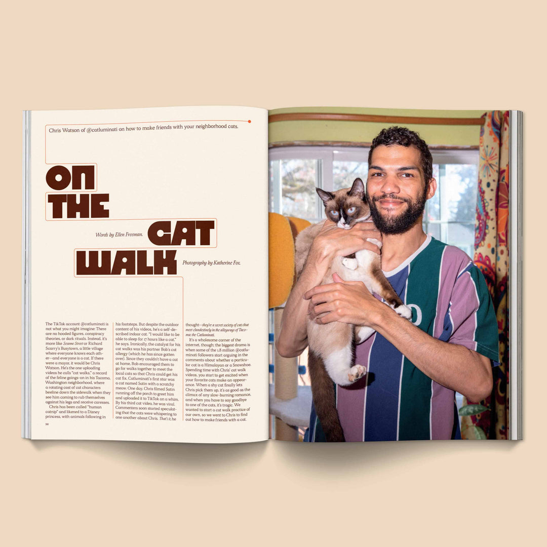 Catnip Magazin - Vol. 1
