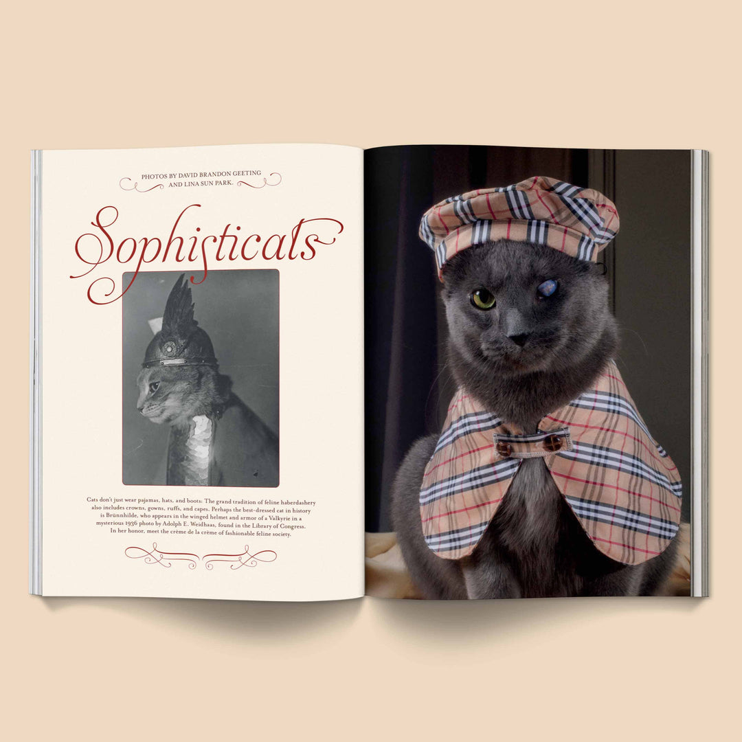 Catnip Magazin - Vol. 1