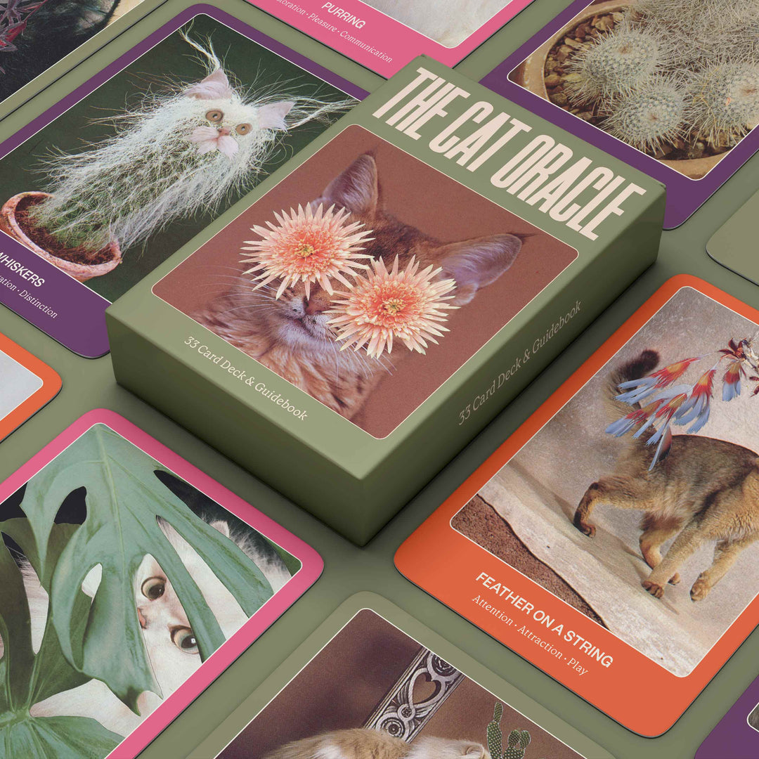 Das Katzenorakel: 33 Karten Deck & Handbuch
